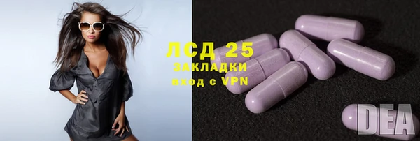 дмт Белокуриха