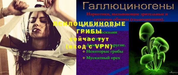ешки Беломорск