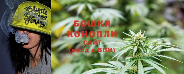дмт Белокуриха