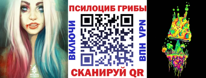 Галлюциногенные грибы MAGIC MUSHROOMS  купить наркоту  MEGA зеркало  Городище 